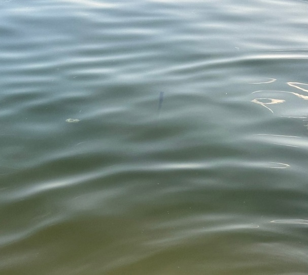 Пост благодарности