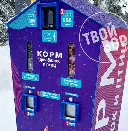 На Моховых золотые орехи