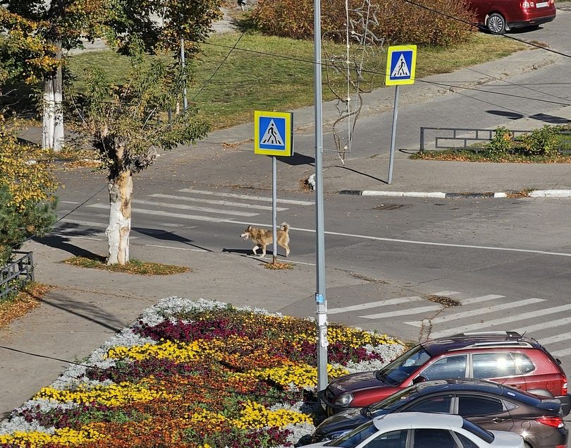 Желаем борчанам хороших новостей и не только