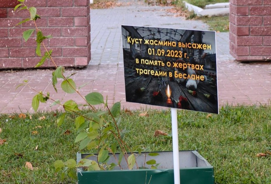 На Бору появился символ в память о погибших детях