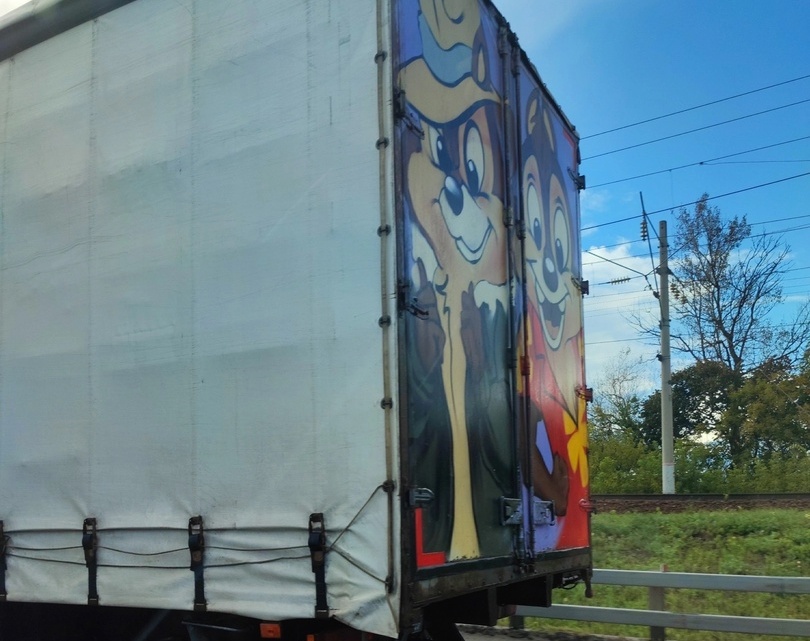 Чего только не встретишь на Борских дорогах