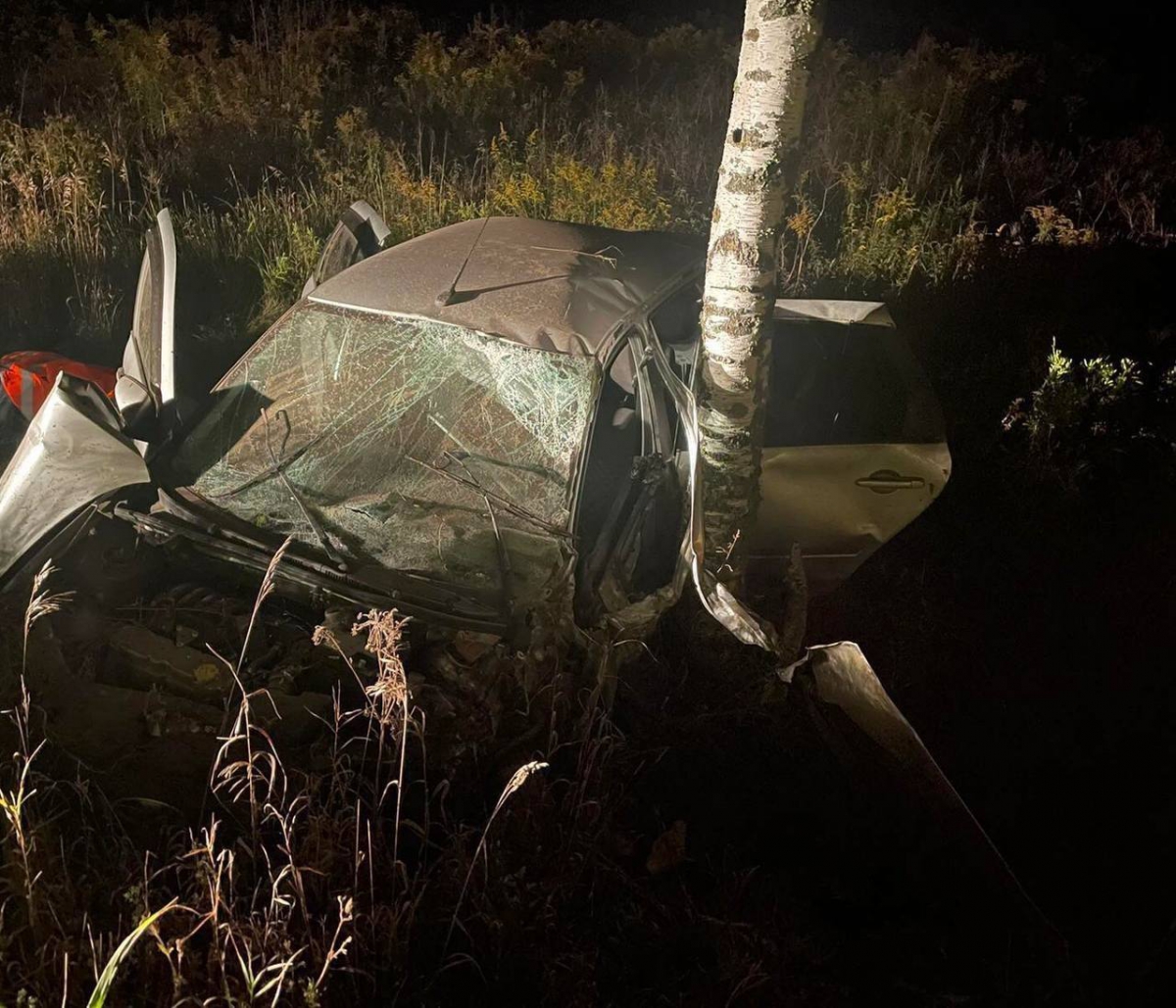 Мужчина погиб в аварии на борской дороге