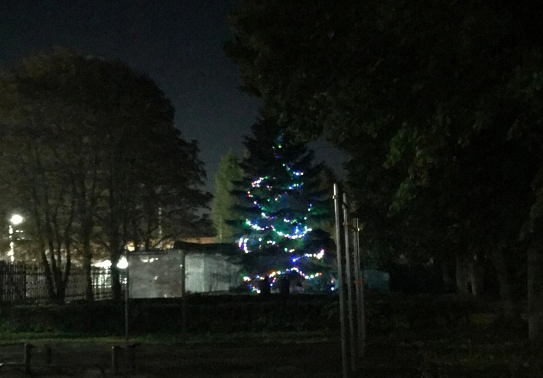 В Туле уже новогоднее настроение. А на Бору?