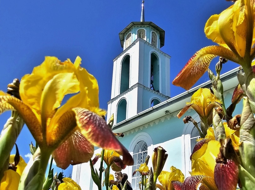 Большие перестановки в борских территориальных отделах