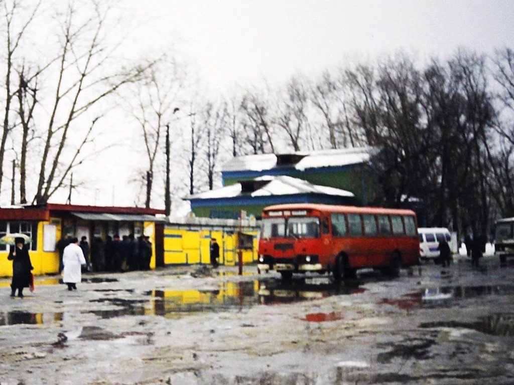 Эти борские фото тронут до глубины души