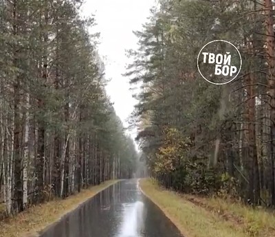 На Бору первый снег!