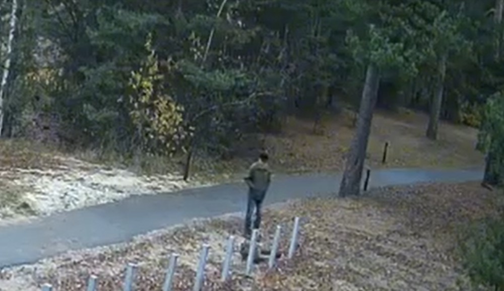 Детективная история с Моховых гор