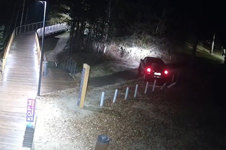 Водитель "под пьяной белочкой" приехал смотреть, видимо, на белочек