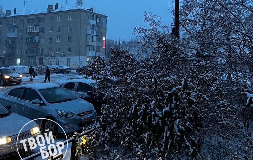 Сообщение от Алексея Боровского