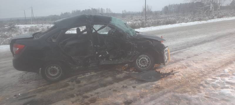 Водитель в реанимации после ДТП в Борском районе