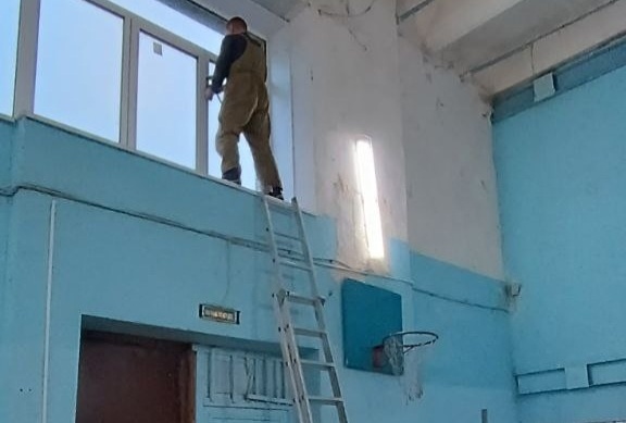 Некоторые борчане творят откровенную дичь. Осеннее обострение?