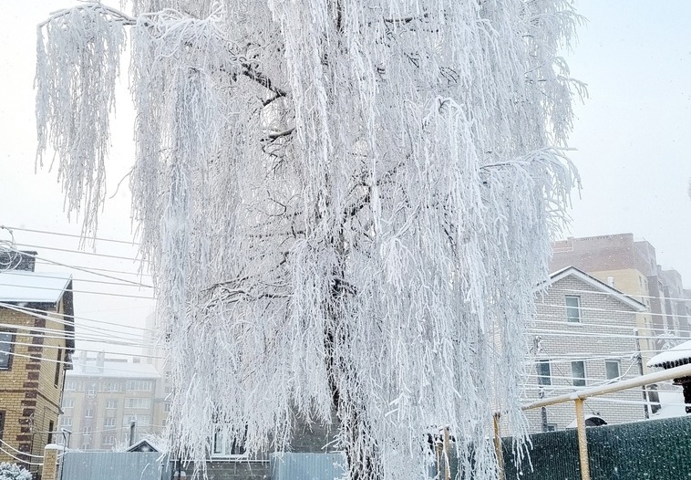 А где борчане смотрят прогноз погоды?