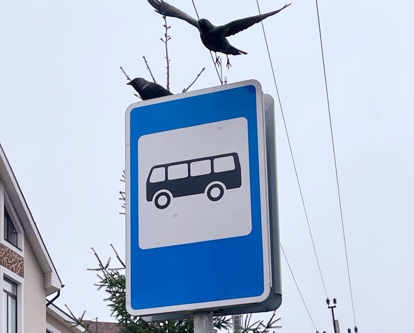 Изменения в расписании автобусов БорПАП на 4-6 ноября