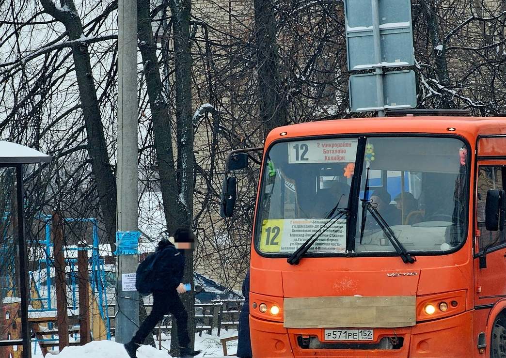Бор в ожидании декабря