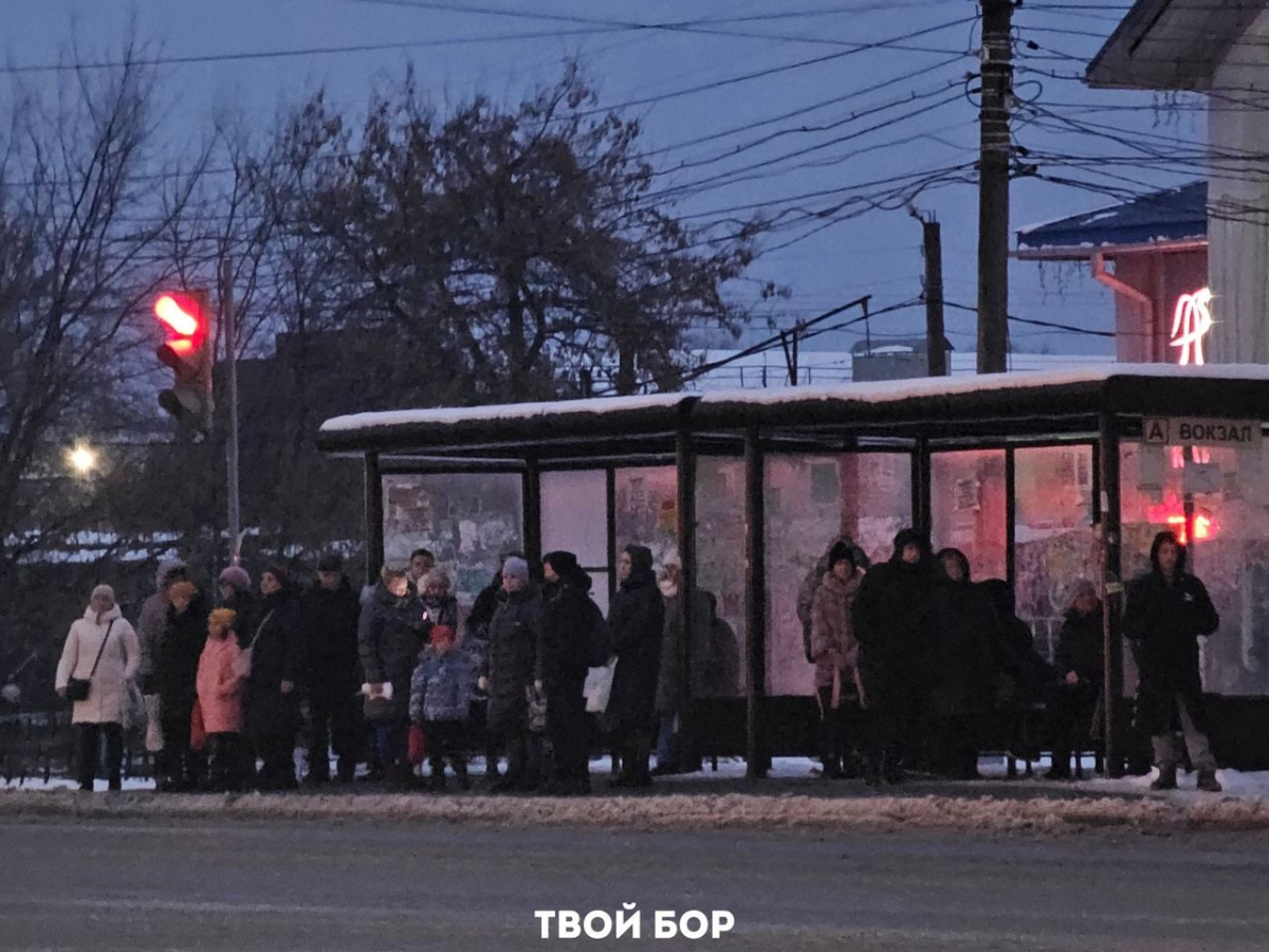 Любопытная новость про мужчин и женщин