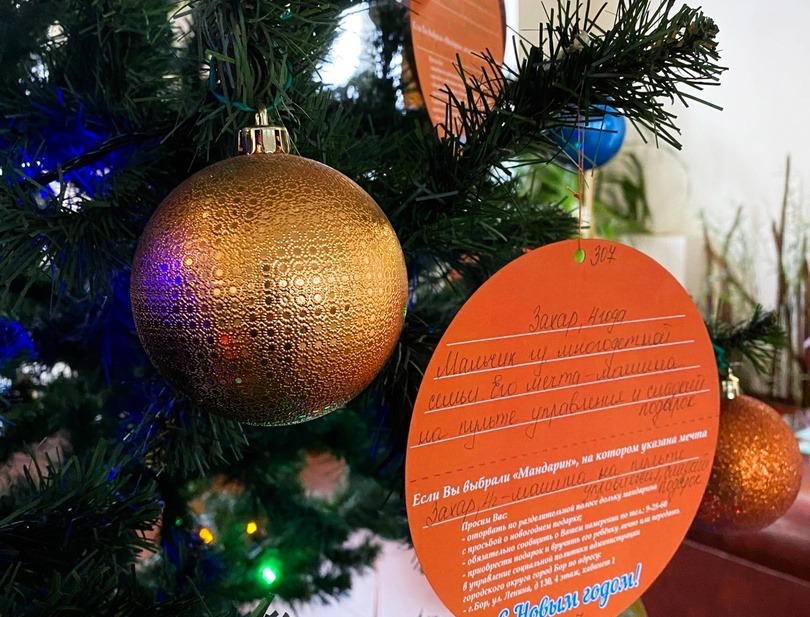 На Бору стартовала ежегодная благотворительная акция «Мандарин»