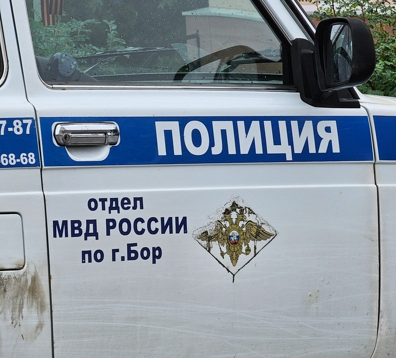 Пенсионер из Бора стрелял по грабителям