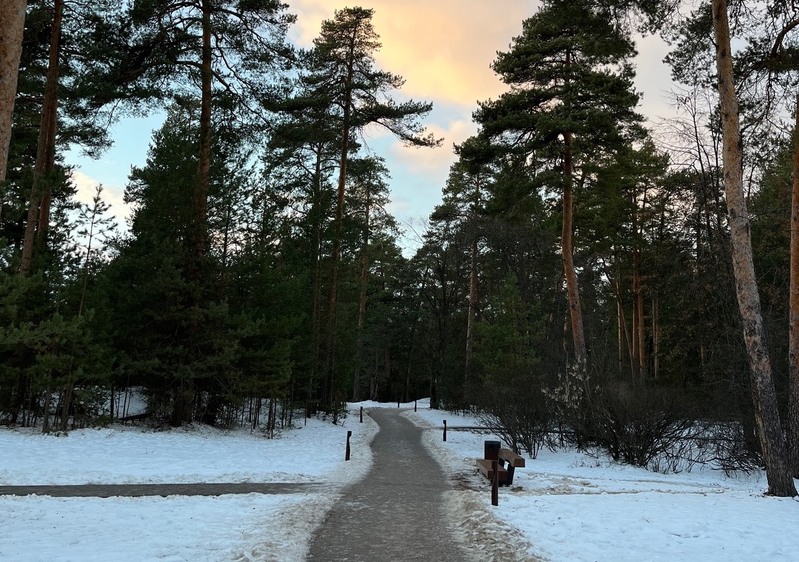 Отключение электроэнергии на Бору 29 ноября