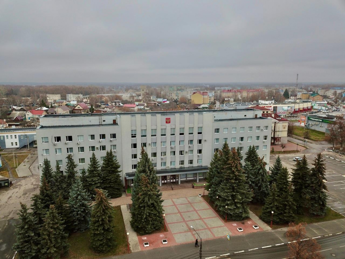 У борской администрации спилят ёлки?