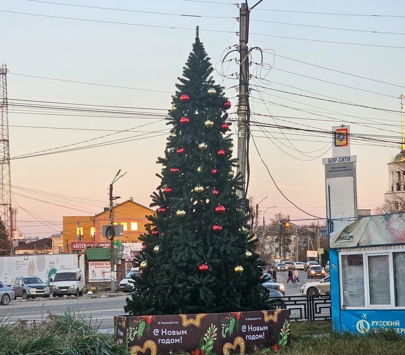 На Бору установили первую новогоднюю ёлку