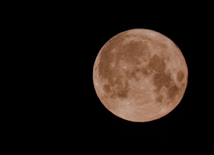 Борчане смогут наблюдать покрытие Венеры Луной 9 ноября