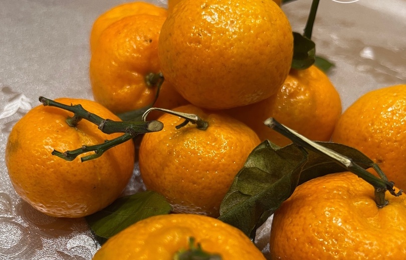 Плохие новости для любителей мандаринок