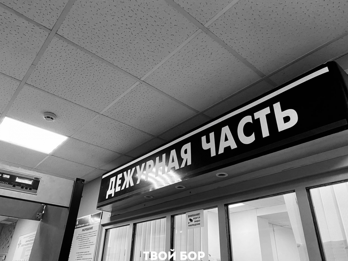 Ой, что натворила жительница Бора