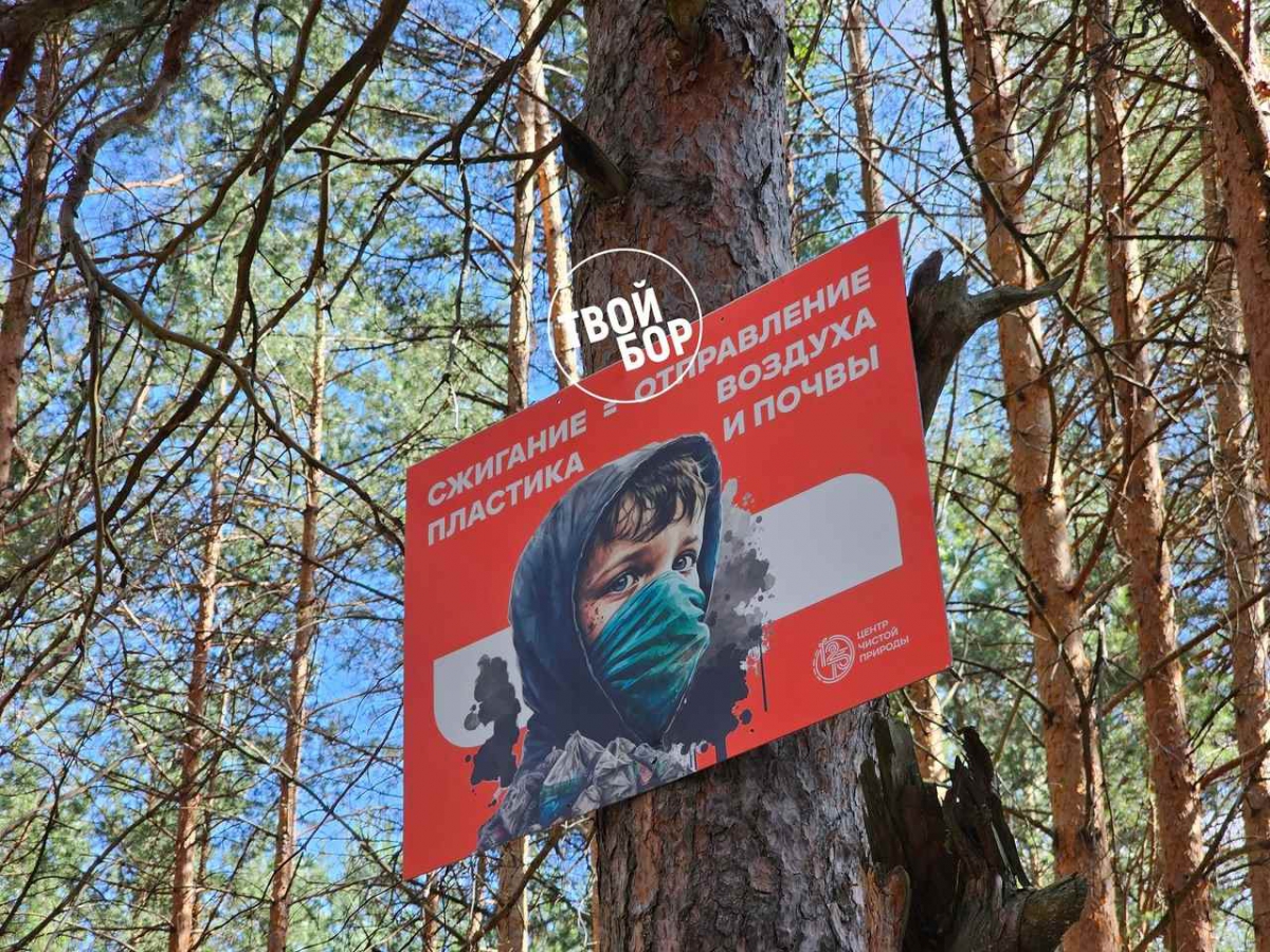 Две несанкционированные свалки ликвидируют в Борском районе