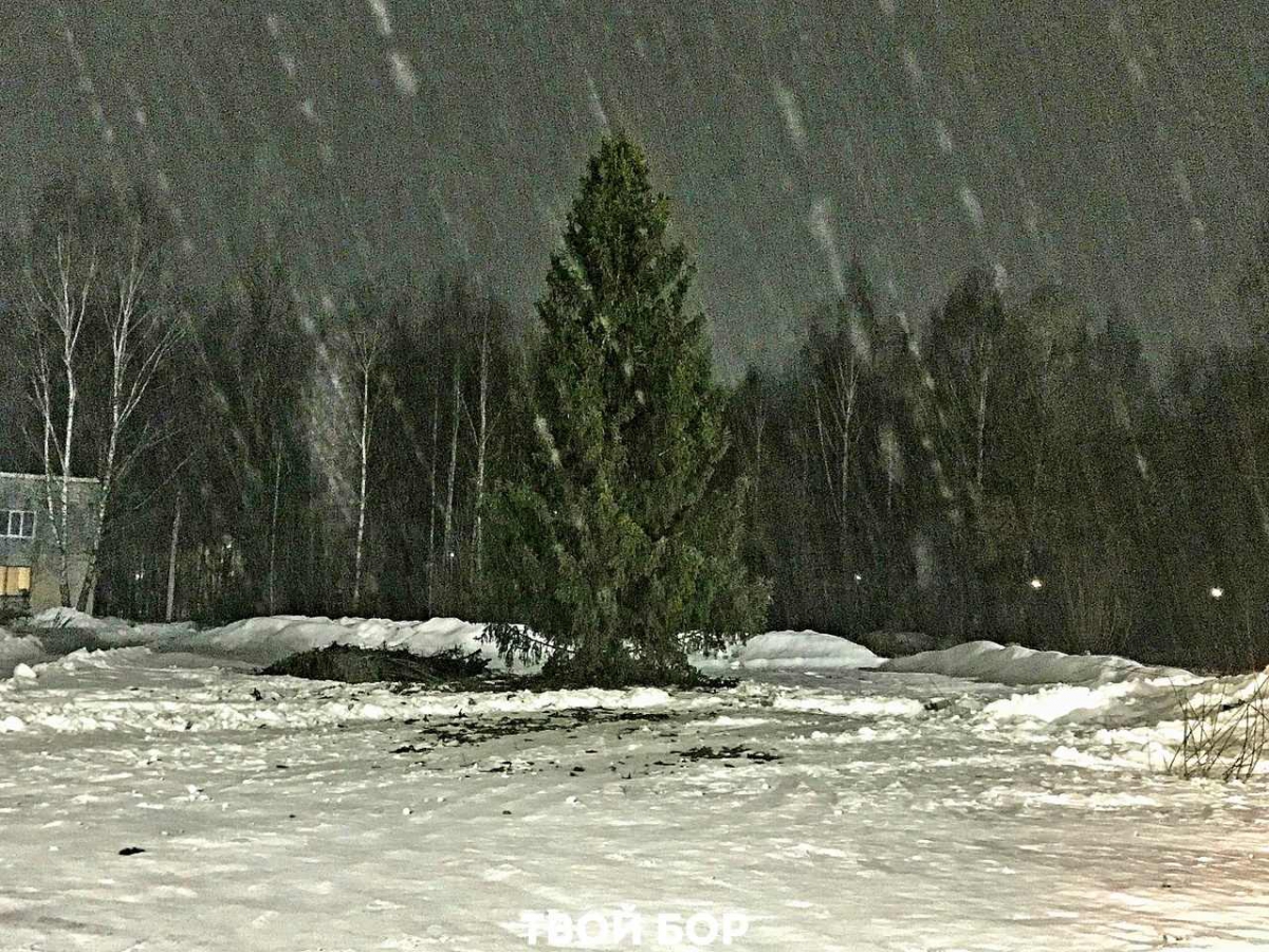 В Останкино шикарная ёлка