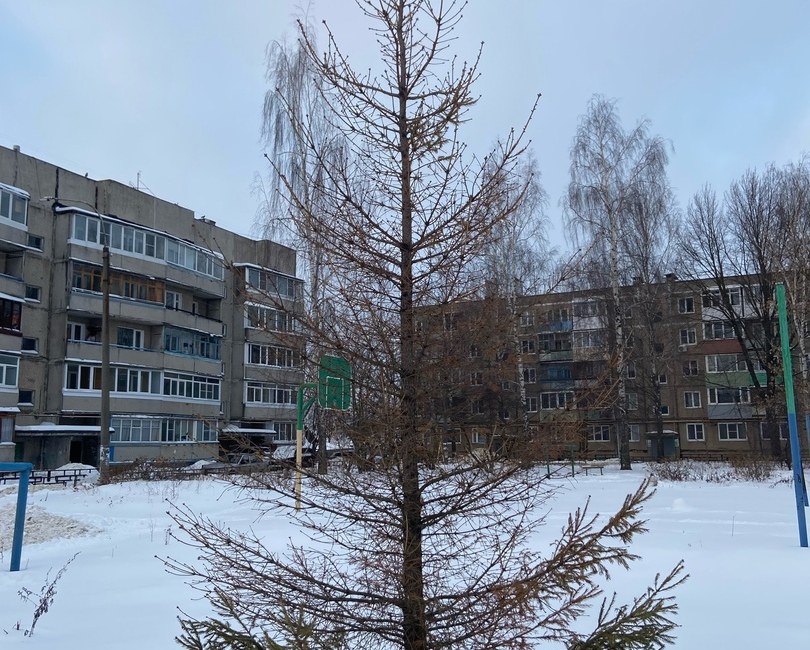 Красногорка без ёлки