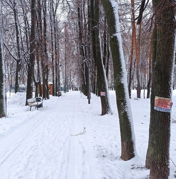 Реклама сервиса наркоты и закладок в Семейном Парке?