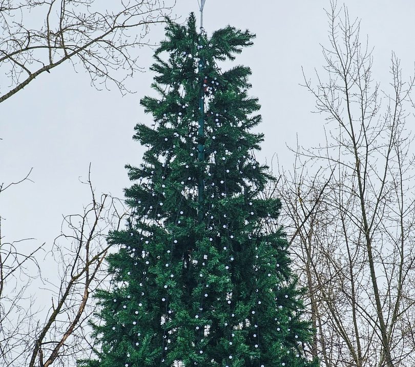 Комментарий начальника "Благоустройства" Максима Чугунова по поводу ёлок