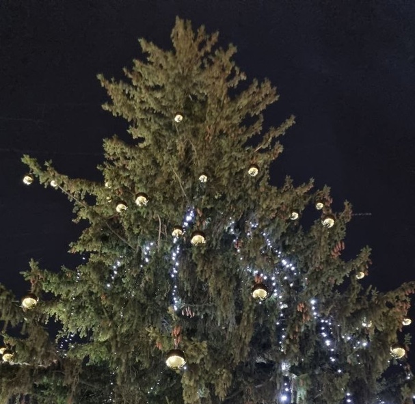 Новогоднее настроение начали создавать в Большом Пикино