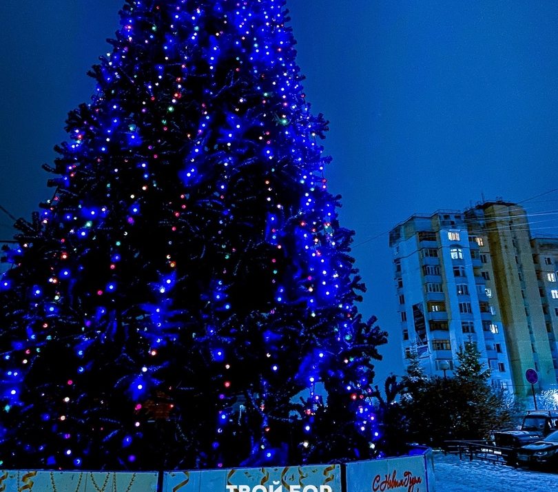 На Бору вводится особый противопожарный режим