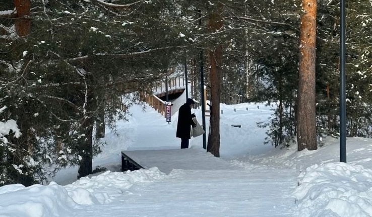 Добро на Моховых