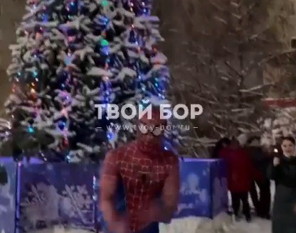 Кого только не встретишь на борских ёлках