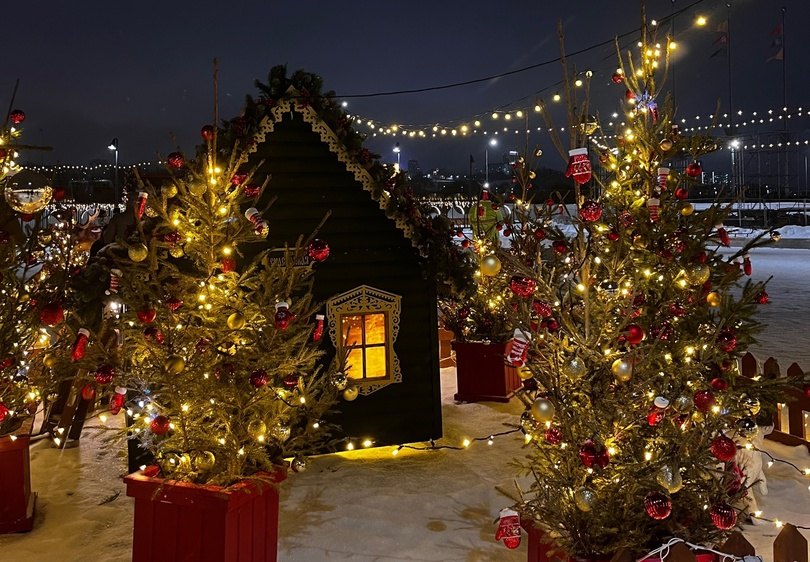 Ёлочки в Нижнем начнут убирать после 13 января