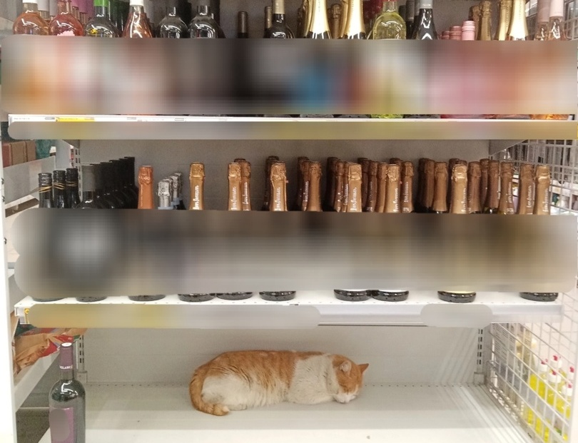 На Бору появилось новое шампанское - "Борское"