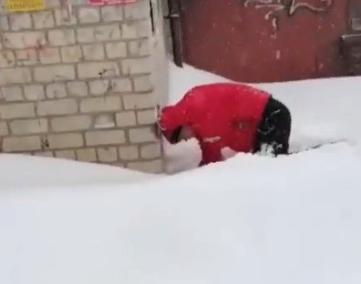 Безобразие у борского детского сада