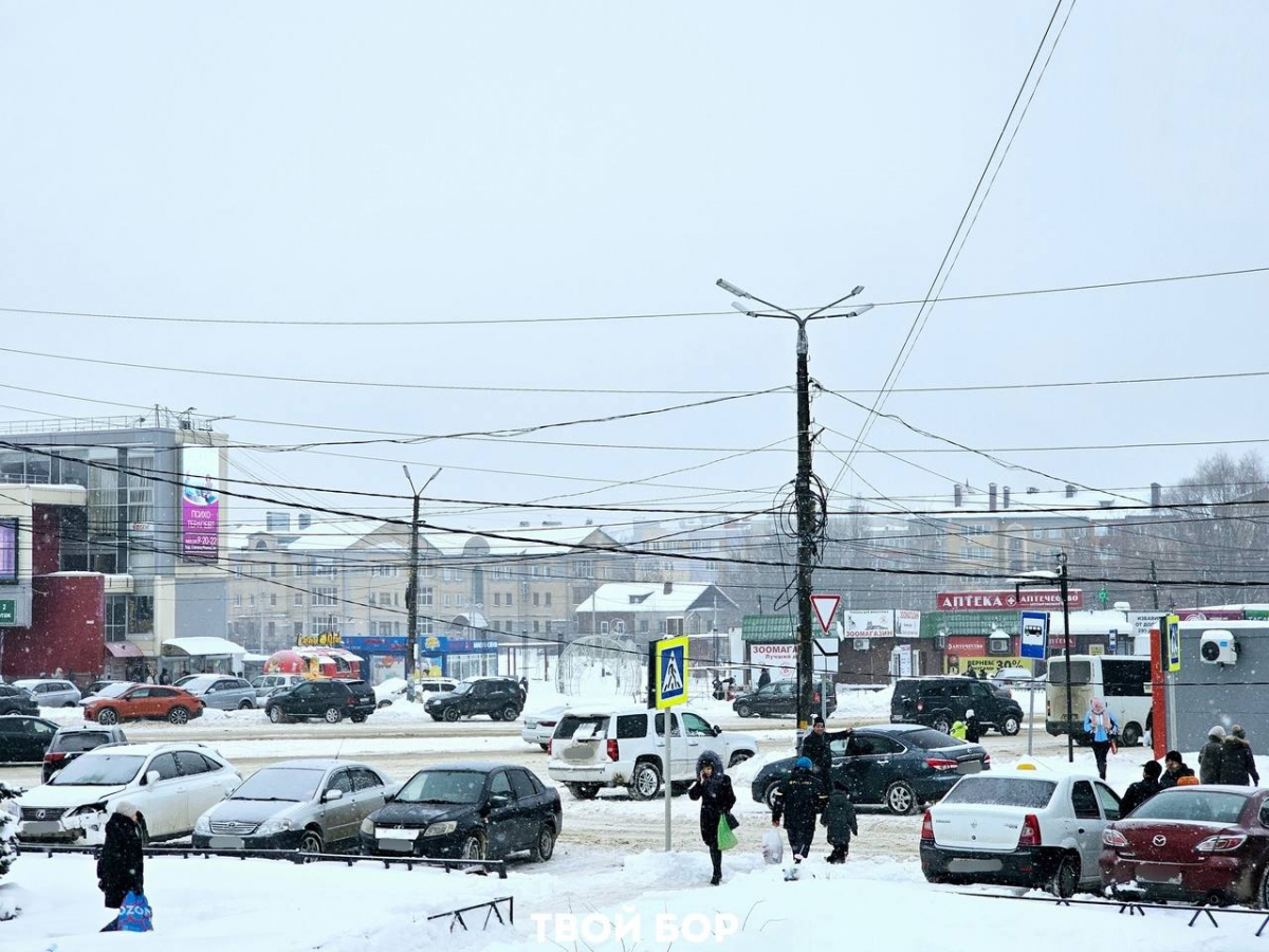 "Оттепель" в январские дни на Бору