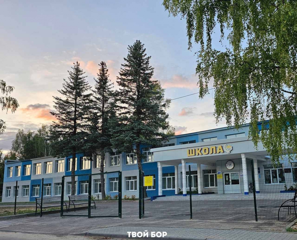 Борских родителей могут начать штрафовать