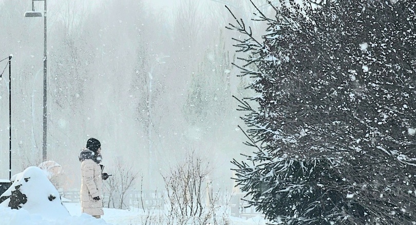 Поддержат ли борчане инициативу?