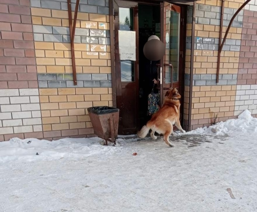 Крик души от жительницы Борского округа!