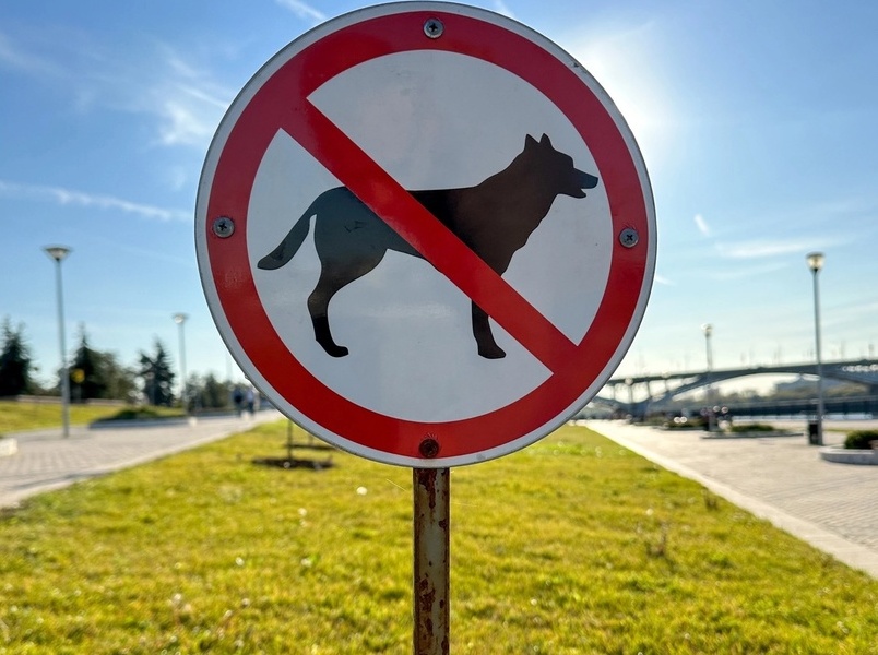 Телефон служб отлова собак