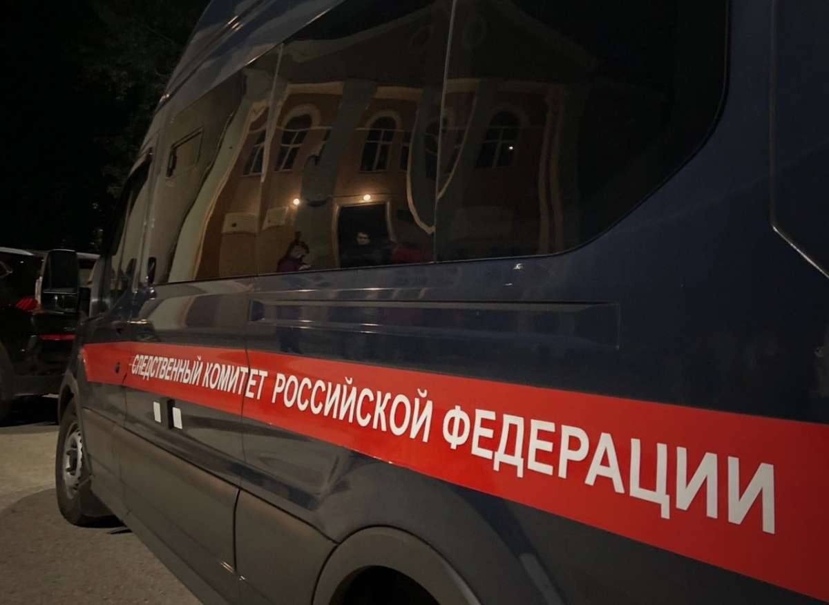 Подробности убийства в Большом Пикино