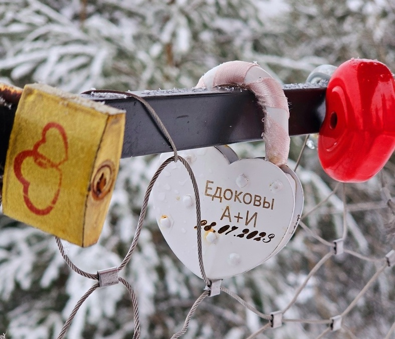 На Бору стало больше семей
