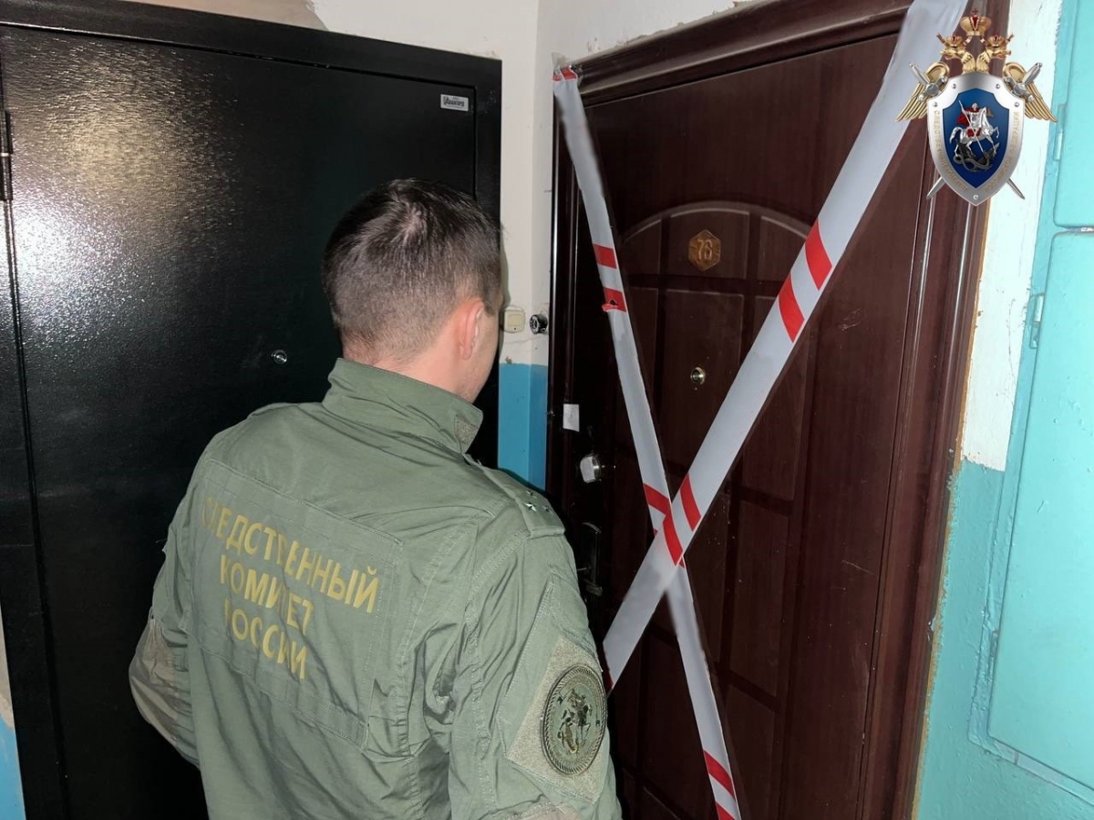 Двух борских подростков обвиняют в убийстве с особой жестокостью