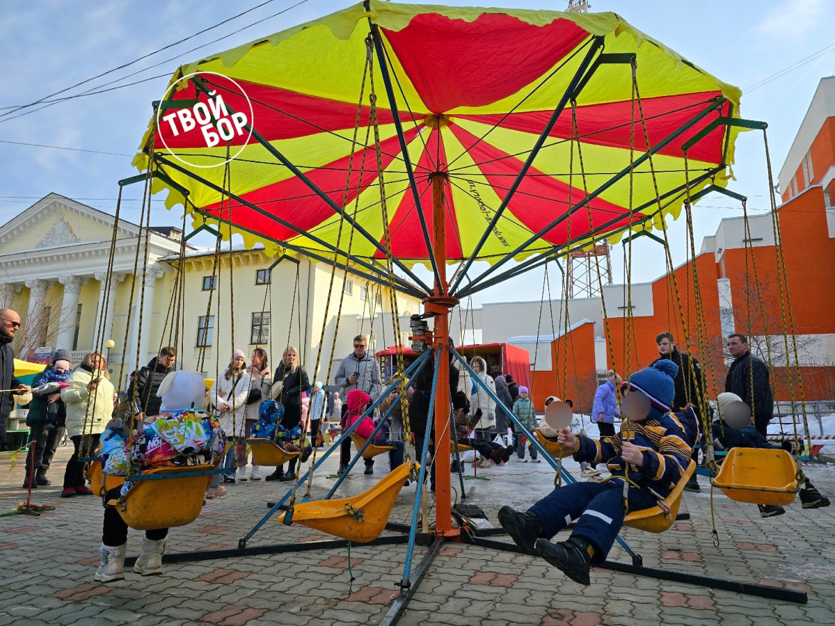 Поддержать ли борчане такую инициативу? — новости города Бор