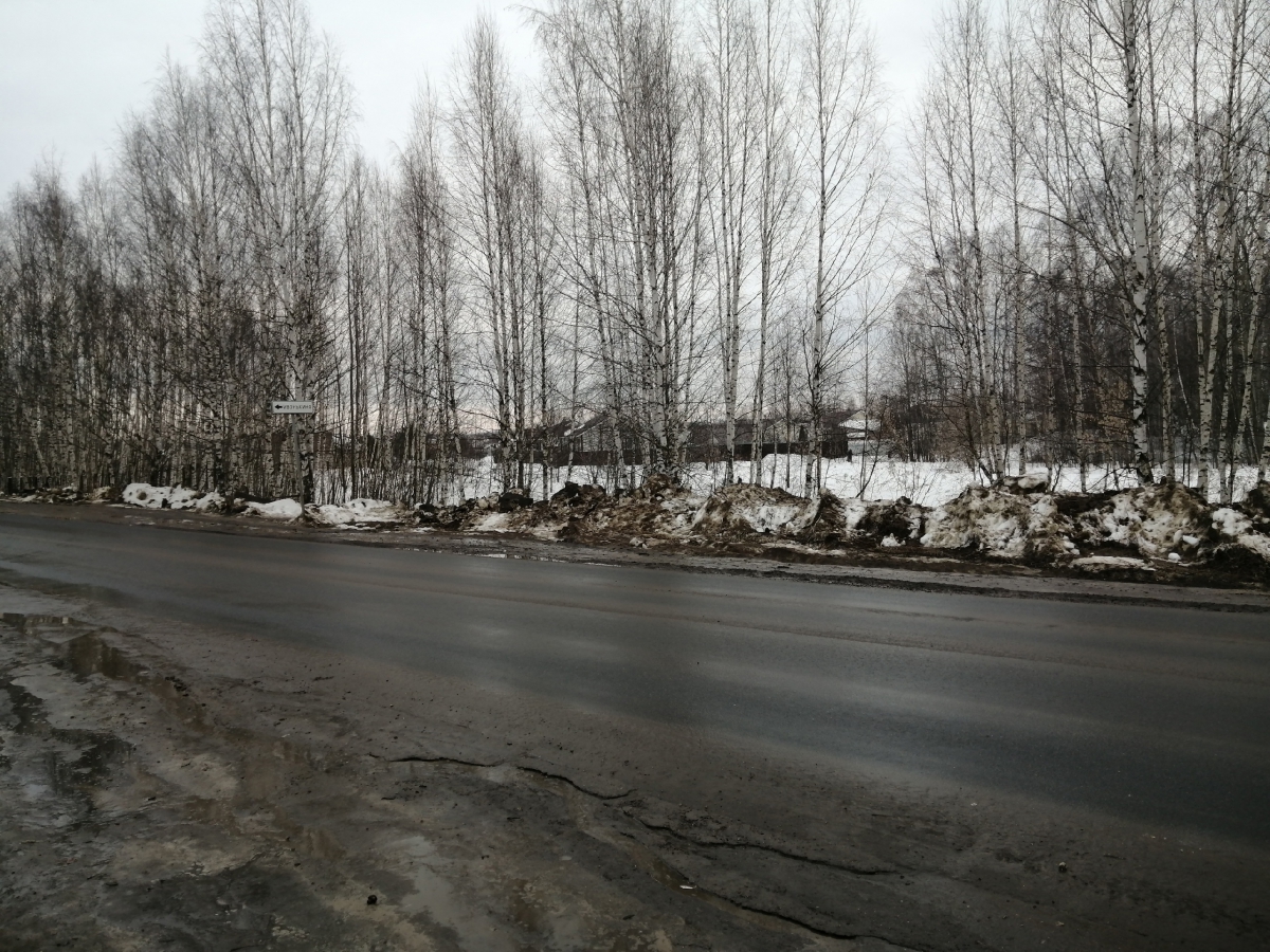 Крик борской души