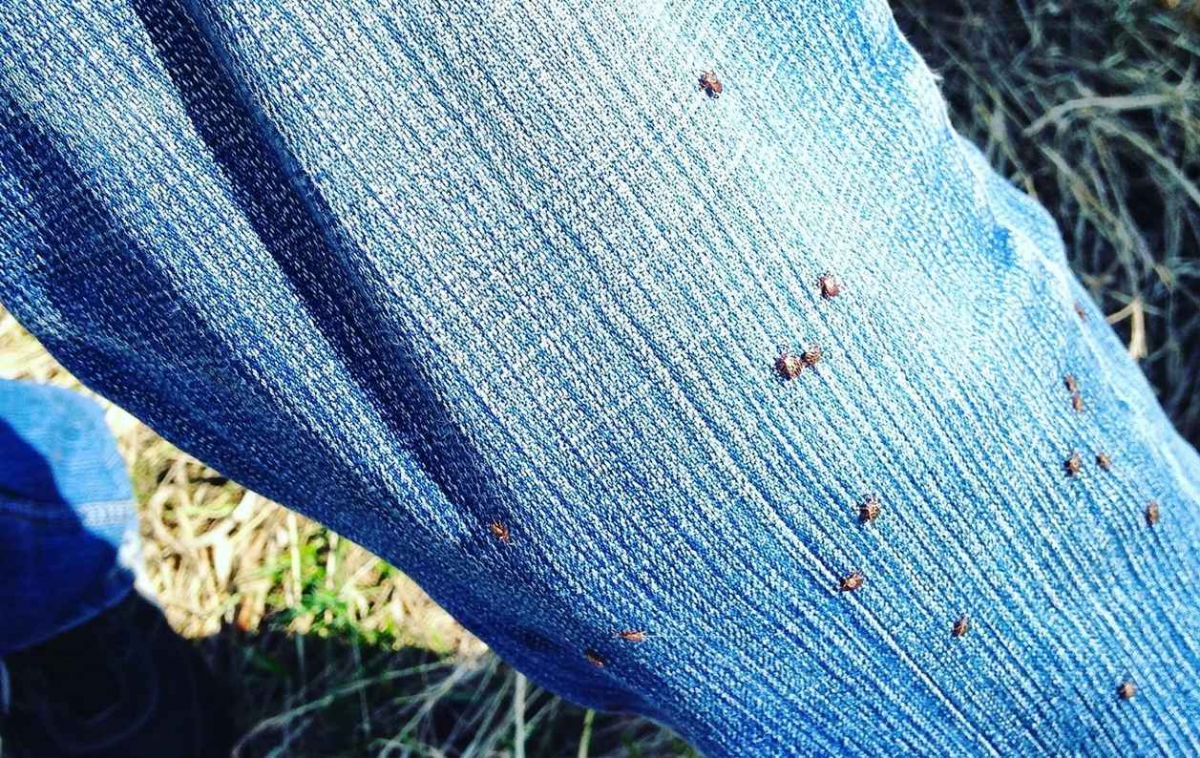 Они скоро вернутся...